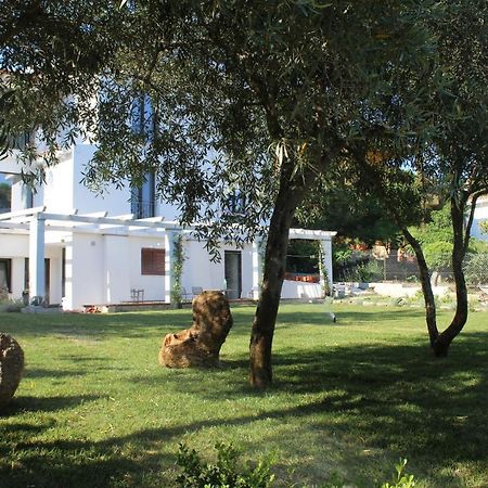 Villa La Conchiglia Rooms Cala Liberotto Exterior photo
