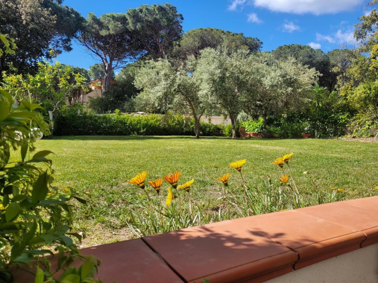 Villa La Conchiglia Rooms Cala Liberotto Exterior photo